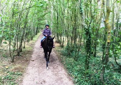Corballis Farm Horse Trekking & Therapeutic Riding Centre