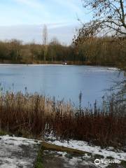 Longton Brickcroft Nature Reserve