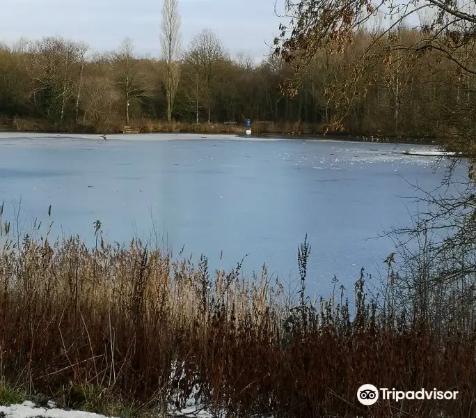 Longton Brickcroft Nature Reserve