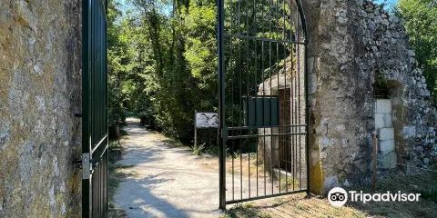 Chateau Thomas II de Savoie