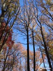 Rancocas Nature Center