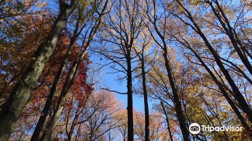 Rancocas Nature Center