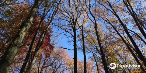 Rancocas Nature Center