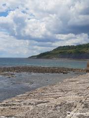 Lyme Regis Beach