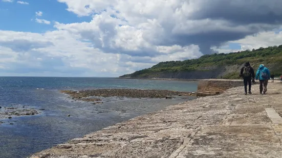 Lyme Regis Beach