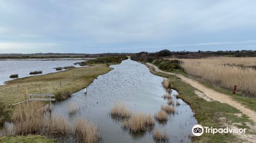 Lymington & Keyhaven Marshes