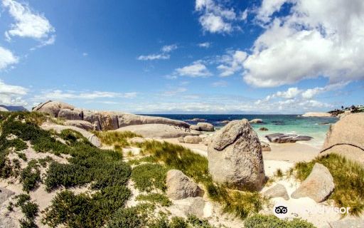 Sandy Bay, Cape Town