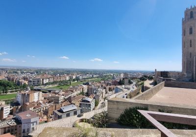 Cathédrale de la Seu Vella