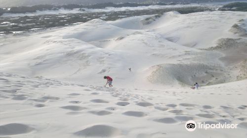 Dunas da Joaquina