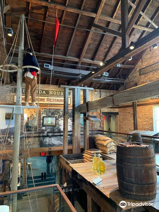 5_Музей китобойного промысла