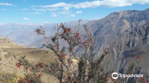 Colca Canyon