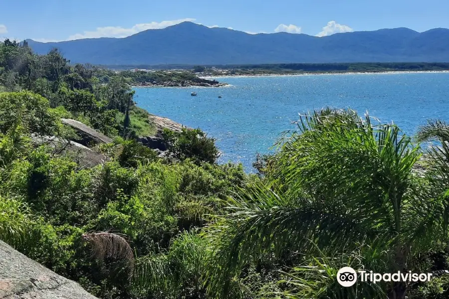 Natural pools of Barra da Lagoa