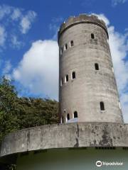 Forêt nationale d'El Yunque