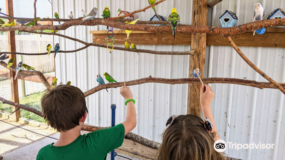 Big Joel's Safari Petting Zoo & Educational Park