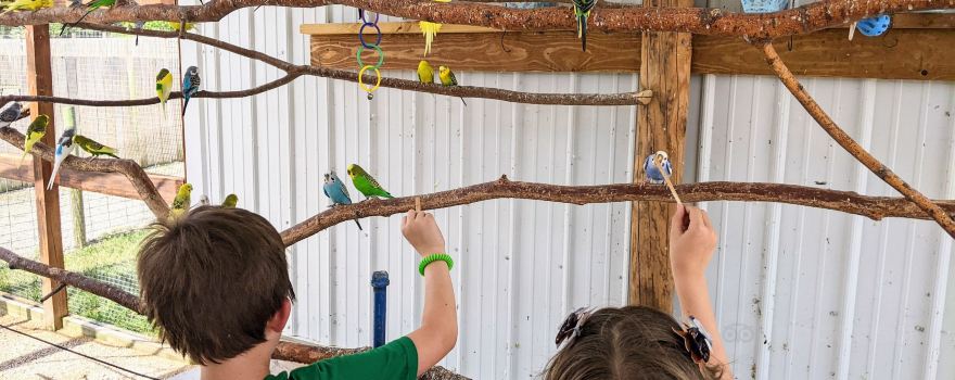 Big Joel's Safari Petting Zoo & Educational Park