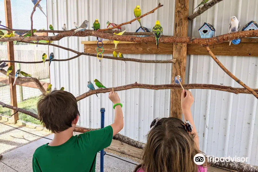 Big Joel's Safari Petting Zoo & Educational Park