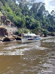 Tamar River Cruises