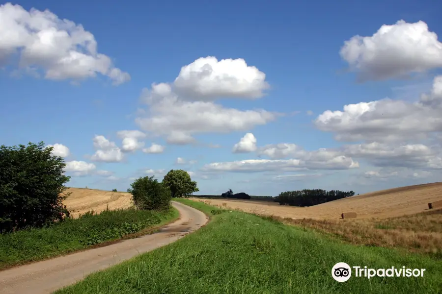 Lincolnshire Wolds Countryside Service