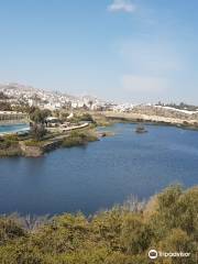 Abha Dam Lake