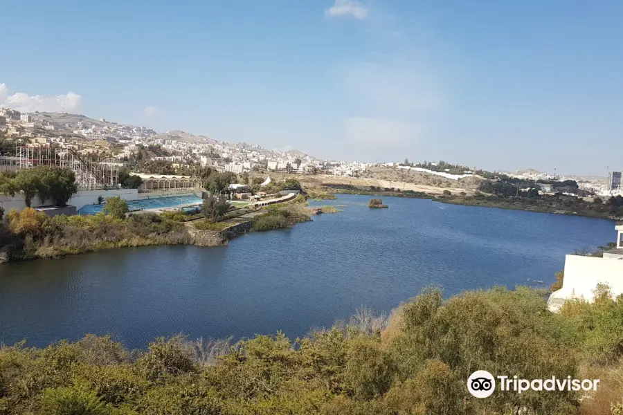 Abha Dam Lake