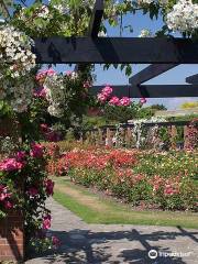 Southsea Rose Garden