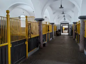 Národní hřebčín Kladruby nad Labem