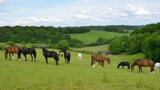 The Horse Trust