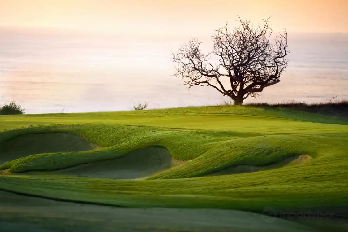 Hotels near Club Campestre