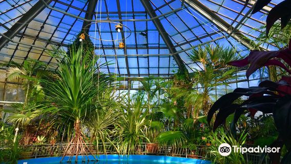 Alexandru Borza Botanical Garden