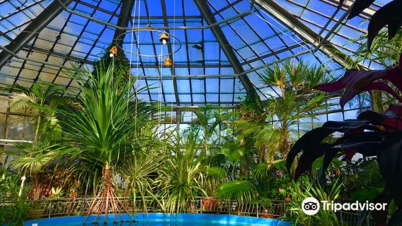 Alexandru Borza Botanical Garden