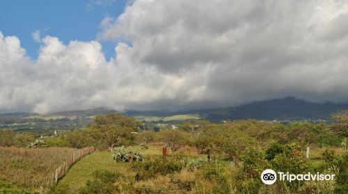 Kupa'a Farms