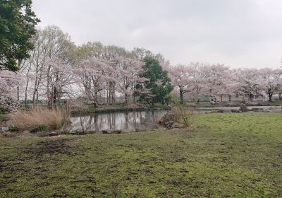 見沼氷川公園