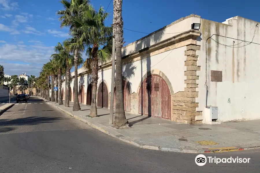 Murallas de San Carlos