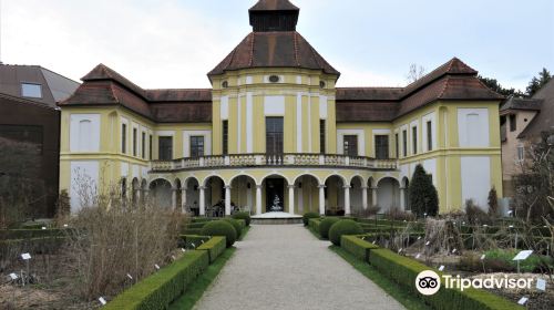 Deutsches Medizinhistorisches Museum