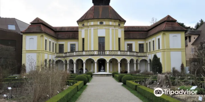 Deutsches Medizinhistorisches Museum