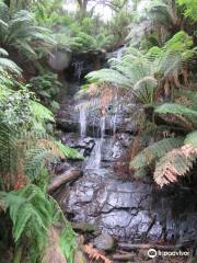 Cyathea Falls