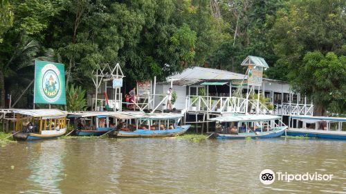 La Jungla Ecolodge