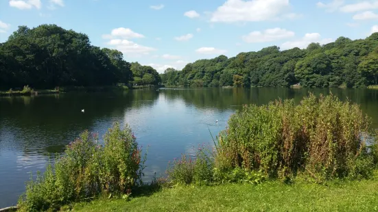 Yarrow Valley Country Park