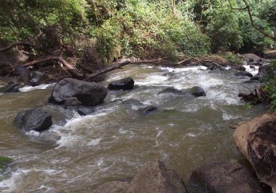 Mato Grosso do Sul