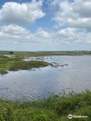 Hesaraghatta Lake