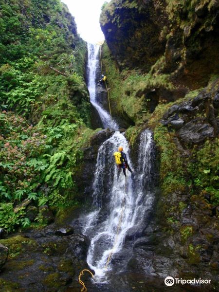 Prague to Flores Island Flights
