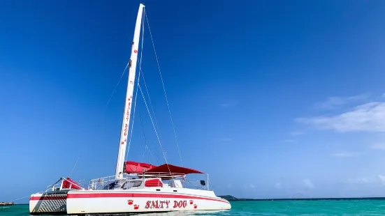 Salty Dog Catamaran