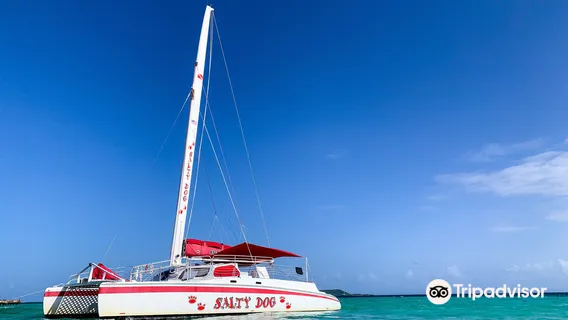 Salty Dog Catamaran