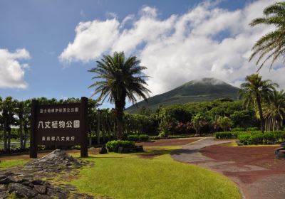Parque Botánico de Hachijō
