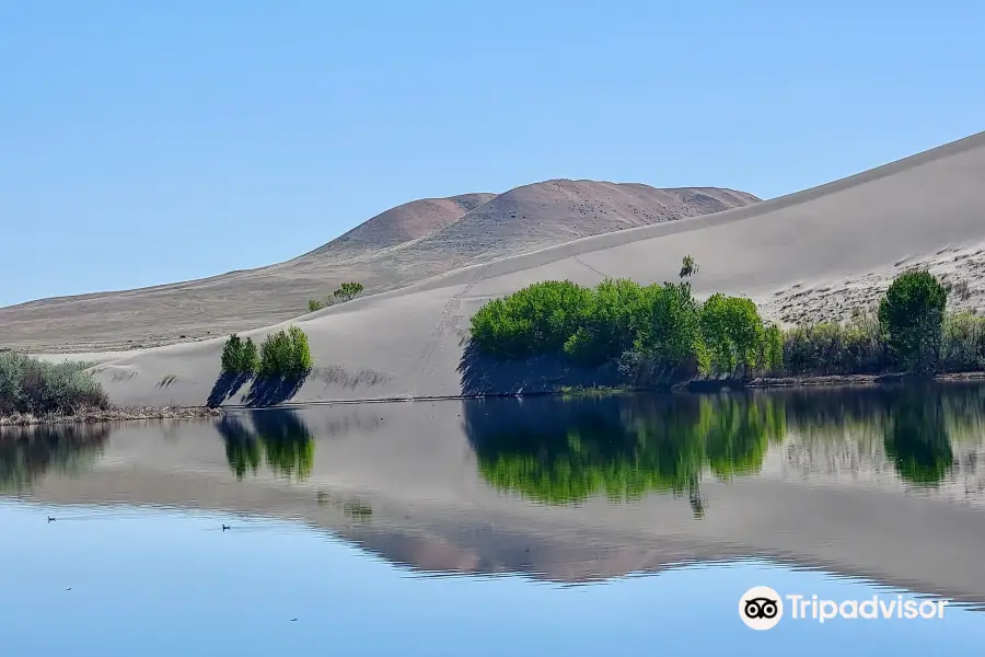 Bruneau Dunes State Park