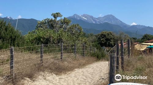 Bagno Le Dune del Forte