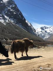 Khangchendzonga Biosphere Reserve