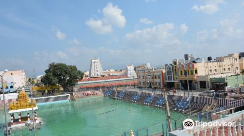 Sri Padmavathi Ammavaari Temple