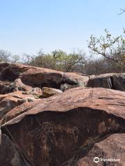 Rock Engravings at Peet Alberts Koppie