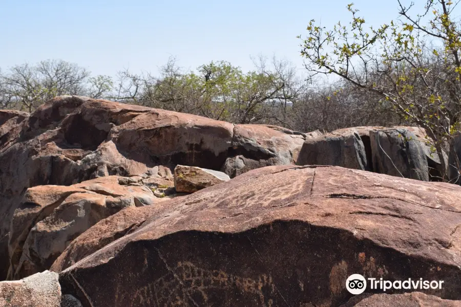 Rock Engravings at Peet Alberts Koppie